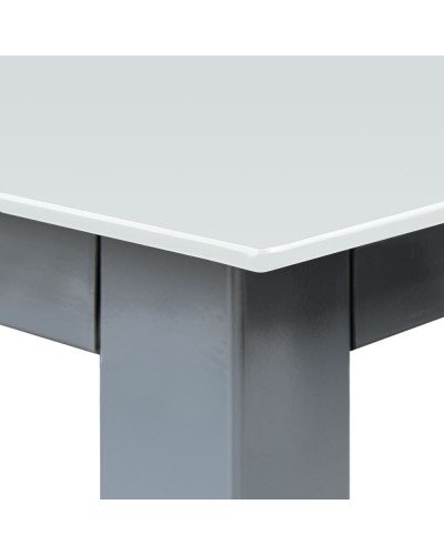 5-Piece Alu Dining Set Bern Frosted Glass